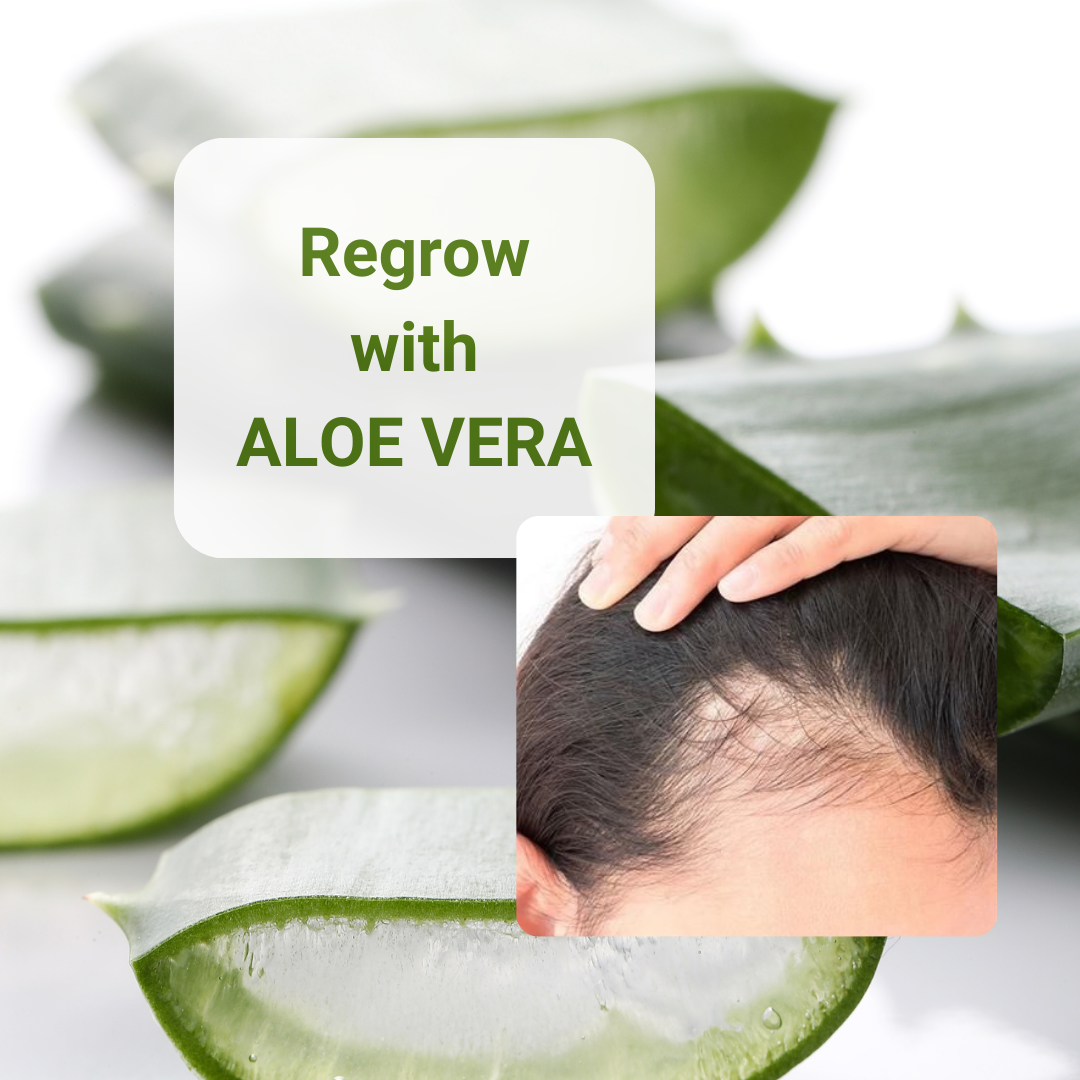 Regrow your hair With the help of Aloe Vera